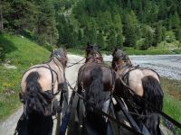 Kutschfahrt durchs Val Roseg, Pontresina, Schweiz &ndash; &copy; Saskia Pinnow (Eberhardt TRAVEL)