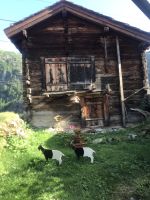 &copy; Irmela Körner (Eberhardt TRAVEL)