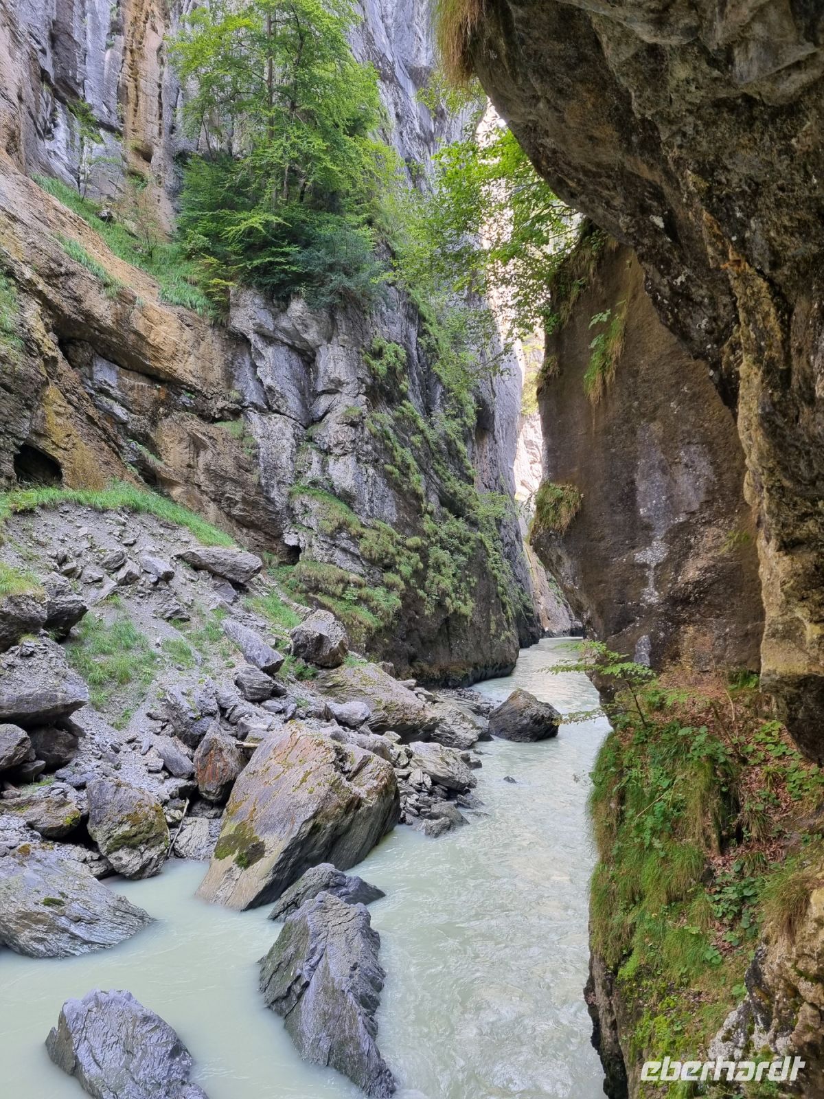 Aareschlucht  &ndash; &copy; Katrin Deutschbein (Eberhardt TRAVEL)