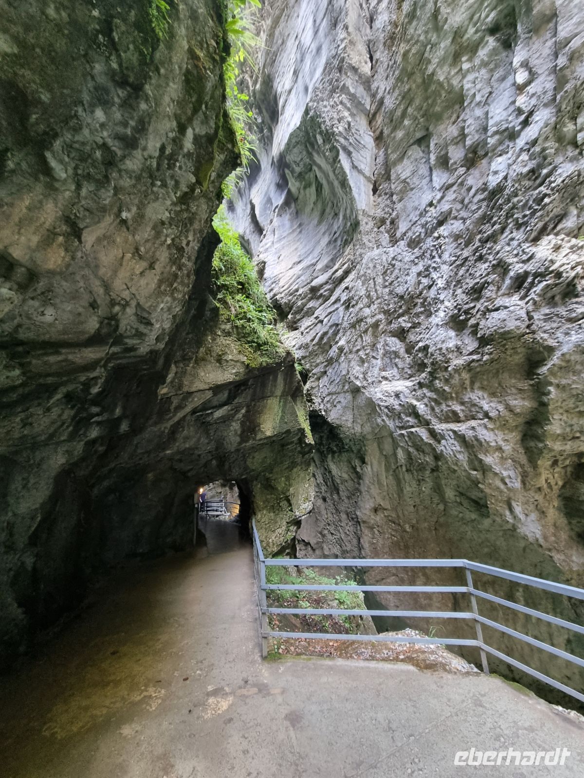 Aareschlucht  &ndash; &copy; Katrin Deutschbein (Eberhardt TRAVEL)