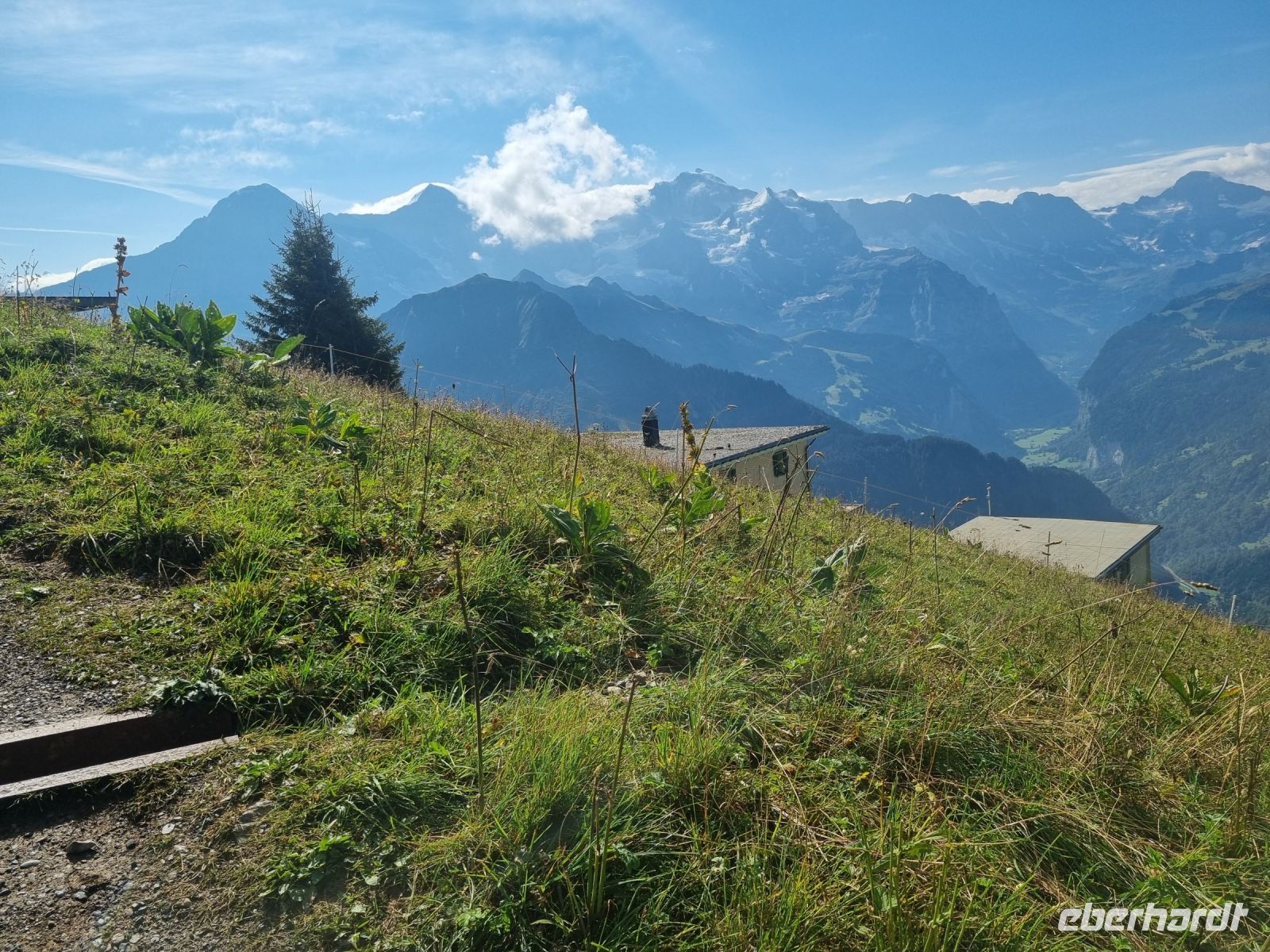 Schynige Platte  &ndash; &copy; Katrin Deutschbein (Eberhardt TRAVEL)