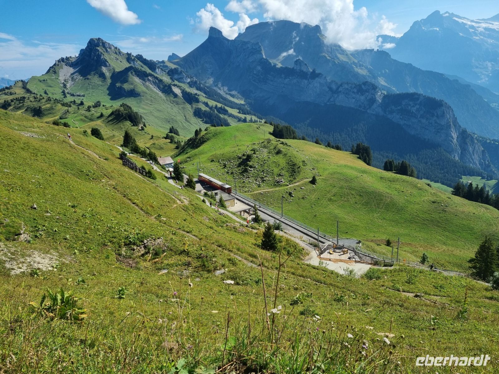 Schynige Platte  &ndash; &copy; Katrin Deutschbein (Eberhardt TRAVEL)