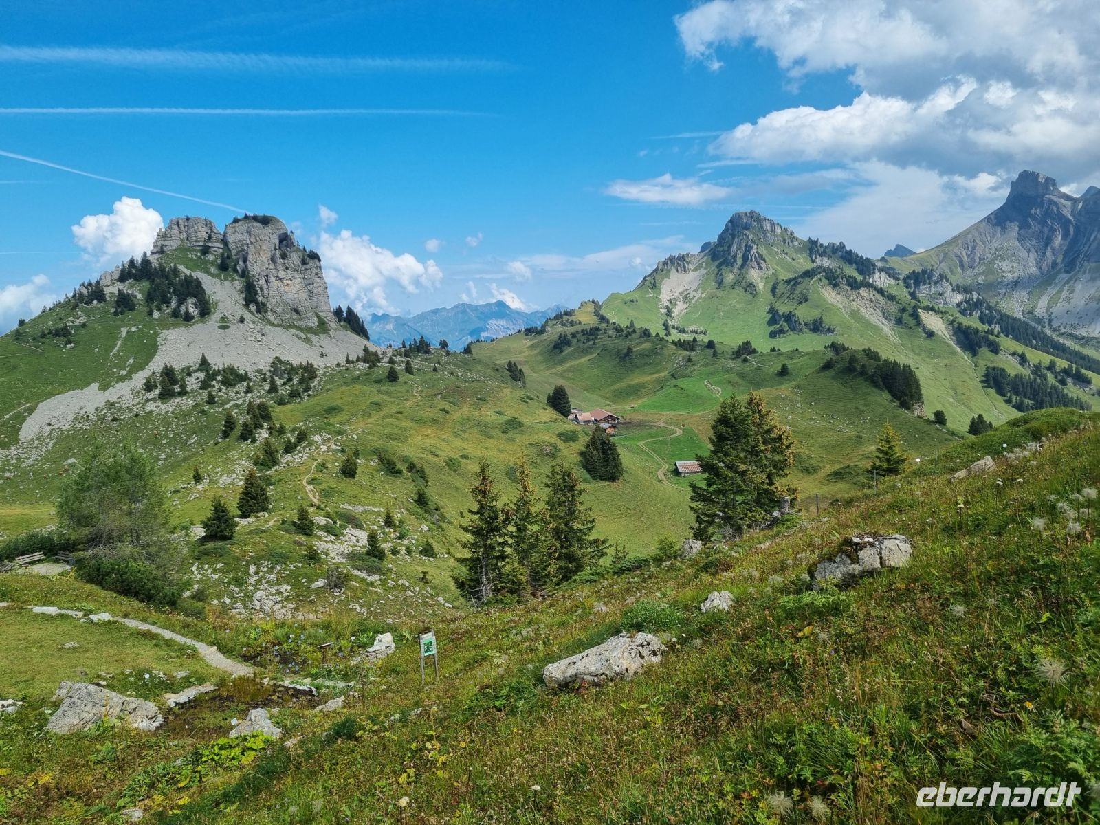 Schynige Platte  &ndash; &copy; Katrin Deutschbein (Eberhardt TRAVEL)