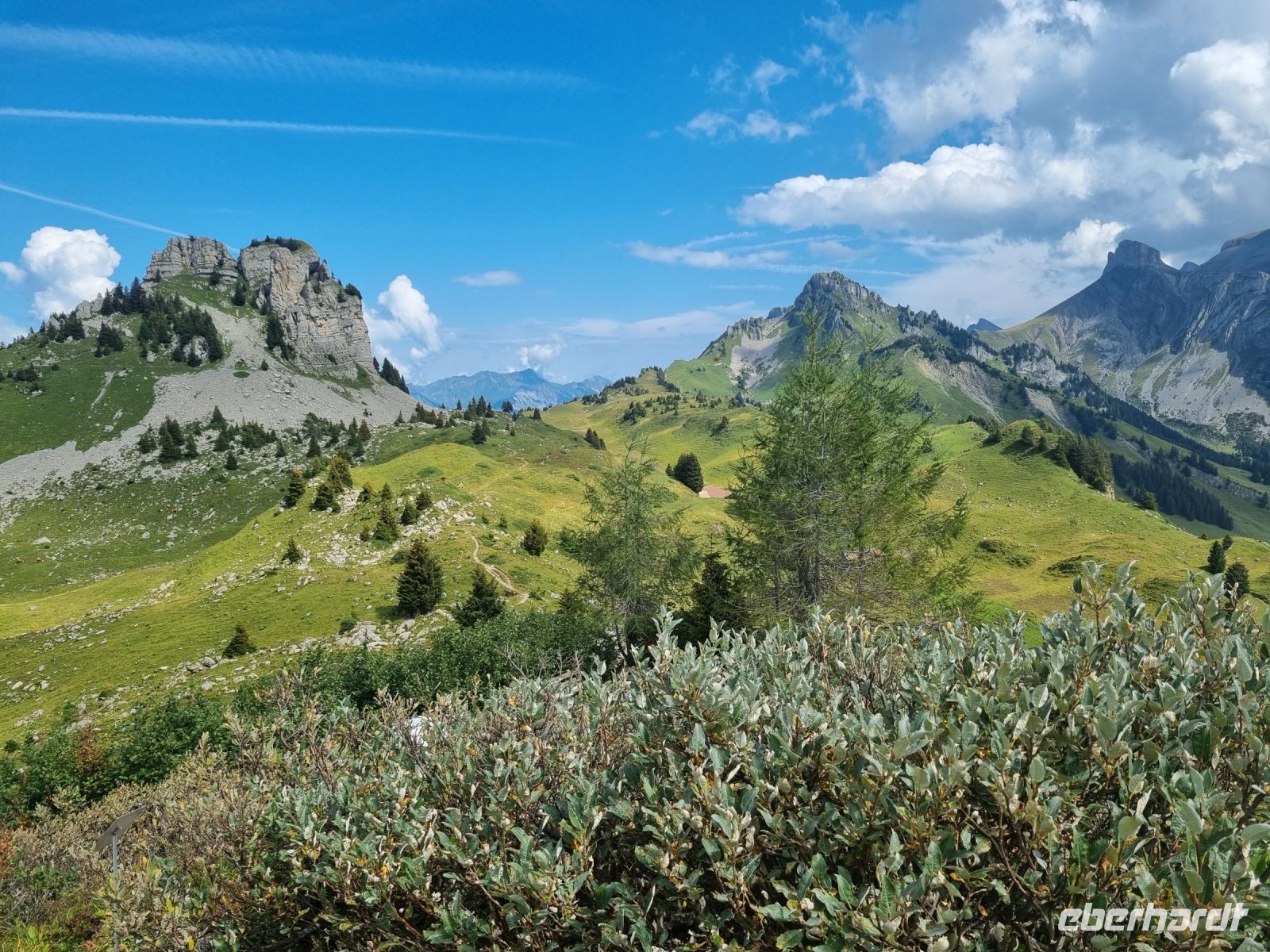 Schynige Platte - Alpengarten &ndash; &copy; Katrin Deutschbein (Eberhardt TRAVEL)