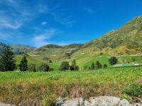 Fahrt mit der Furka-Dampfbahn von Realp nach Oberwald (Furka-Paßstrasse)  &ndash; &copy; Katrin Deutschbein (Eberhardt TRAVEL)