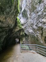Aareschlucht  &ndash; &copy; Katrin Deutschbein (Eberhardt TRAVEL)