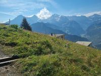 Schynige Platte  &ndash; &copy; Katrin Deutschbein (Eberhardt TRAVEL)
