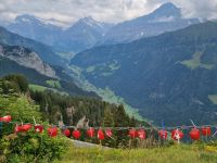 Schynige Platte  &ndash; &copy; Katrin Deutschbein (Eberhardt TRAVEL)