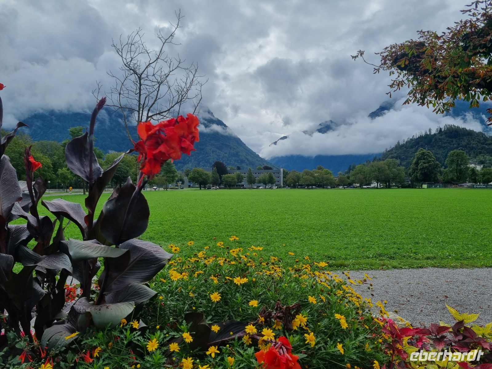 Interlaken (Höhematte) &ndash; &copy; Katrin Deutschbein (Eberhardt TRAVEL)