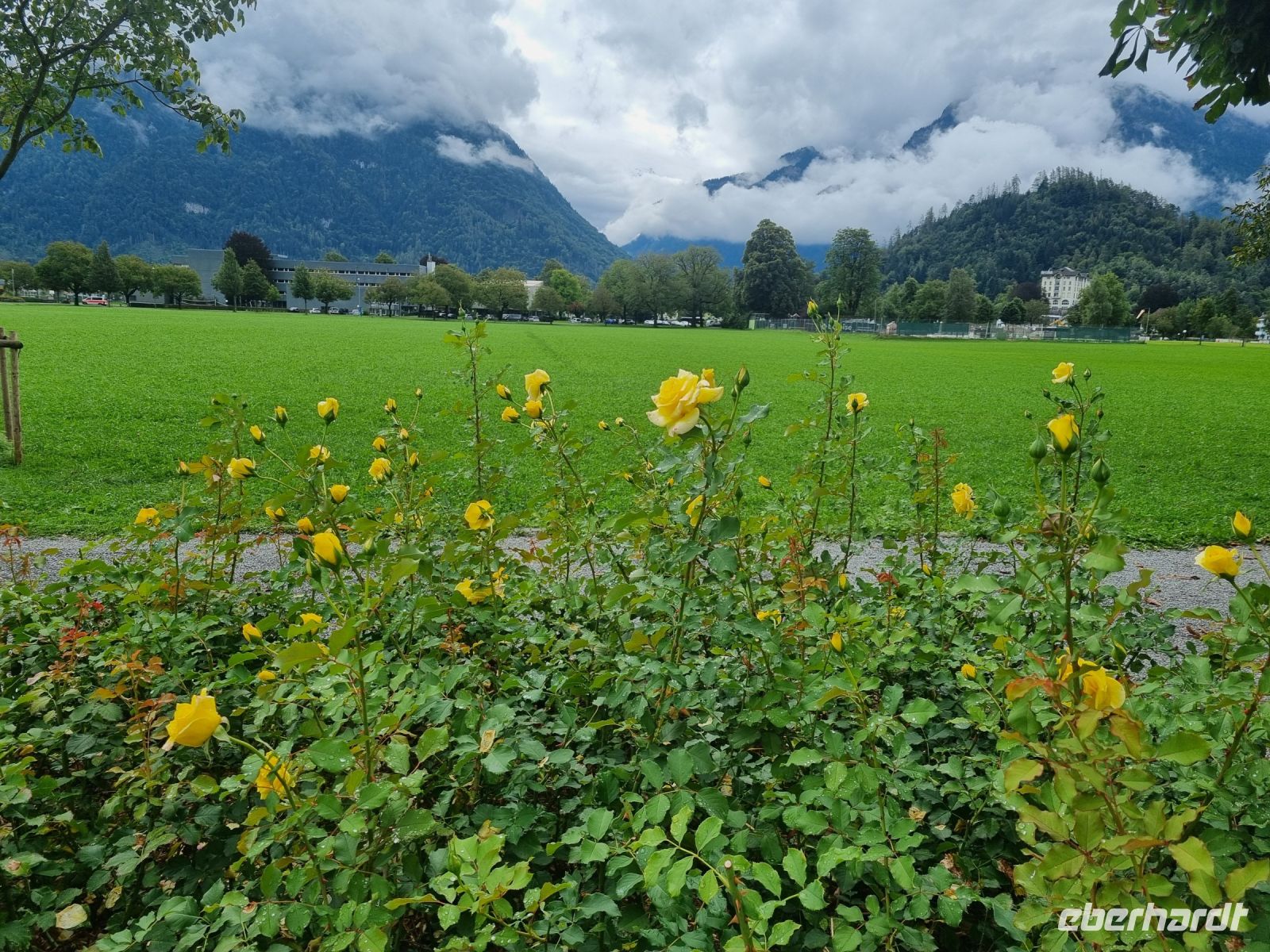 Interlaken (Höhematte) &ndash; &copy; Katrin Deutschbein (Eberhardt TRAVEL)