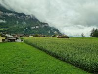 Fahrt mit dem Luzern–Interlaken Express... (Meiringen) &ndash; &copy; Katrin Deutschbein (Eberhardt TRAVEL)