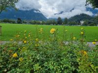Interlaken (Höhematte) &ndash; &copy; Katrin Deutschbein (Eberhardt TRAVEL)