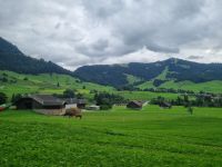 GoldenPass Express... &ndash; &copy; Katrin Deutschbein (Eberhardt TRAVEL)