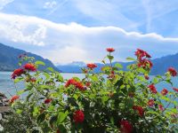 107 Montreux Uferpromenade &ndash; &copy; Annette Probst-Weise (Eberhardt TRAVEL)
