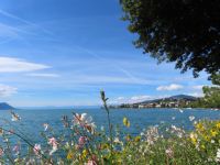 109 Montreux Uferpromenade &ndash; &copy; Annette Probst-Weise (Eberhardt TRAVEL)