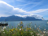 110 Montreux Uferpromenade &ndash; &copy; Annette Probst-Weise (Eberhardt TRAVEL)