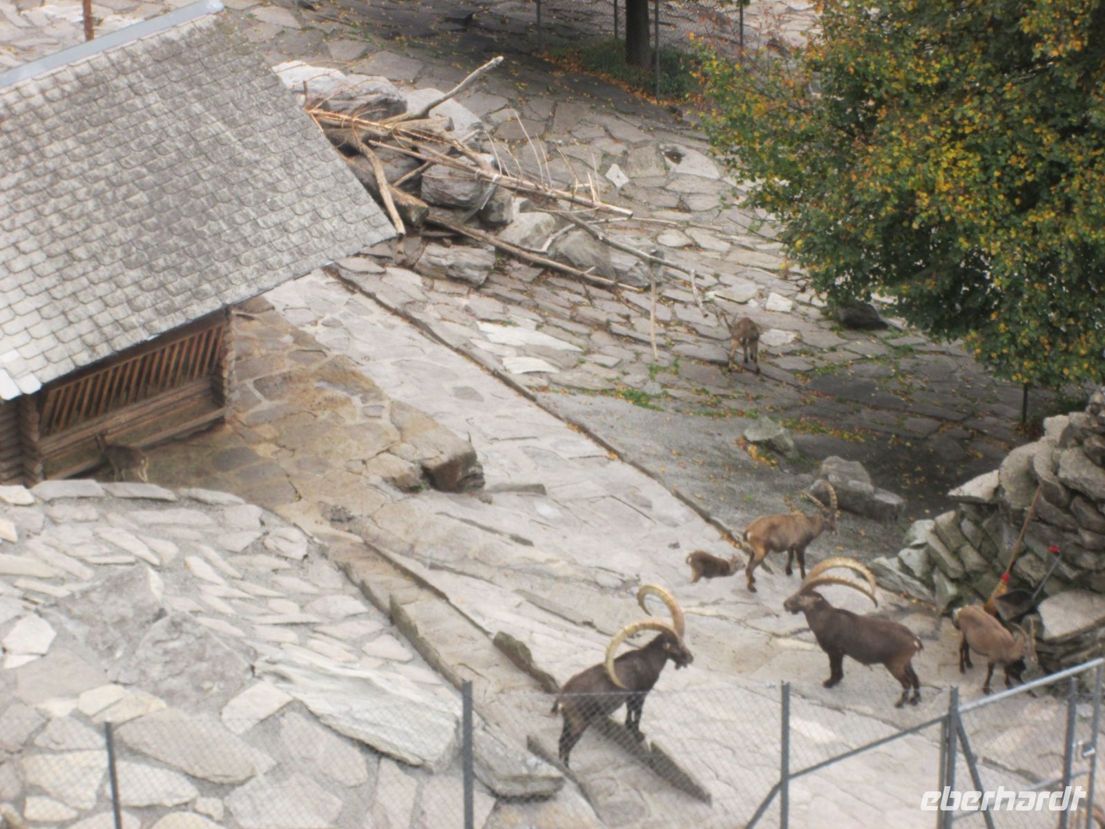 Wildpark Interlaken &ndash; &copy; Heike Heinen (Eberhardt TRAVEL)