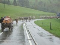 ...es dauert noch &ndash; &copy; Heike Heinen (Eberhardt TRAVEL)