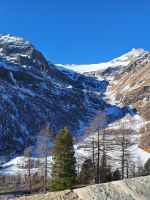 047 Fahrt mit dem Bernina Express - Piz Palü mit Palügletscher &ndash; &copy; Annette Probst-Weise (Eberhardt TRAVEL)