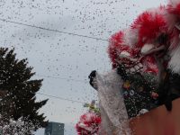 182 Basler Fasnacht - Cortège &ndash; &copy; Annette Probst-Weise (Eberhardt TRAVEL)