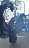 205 Basler Fasnacht - Cortège &ndash; &copy; Annette Probst-Weise (Eberhardt TRAVEL)