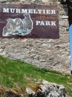 Grimselpass - Murmeltierpark &ndash; &copy; Ute Solf (Eberhardt TRAVEL)