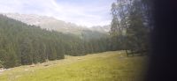 Kutschfahrt zur Alp Garfiun  &ndash; &copy; Kerstin Hugel (Eberhardt TRAVEL)