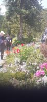 Schatzalp Botanischer Garten &ndash; &copy; Kerstin Hugel (Eberhardt TRAVEL)
