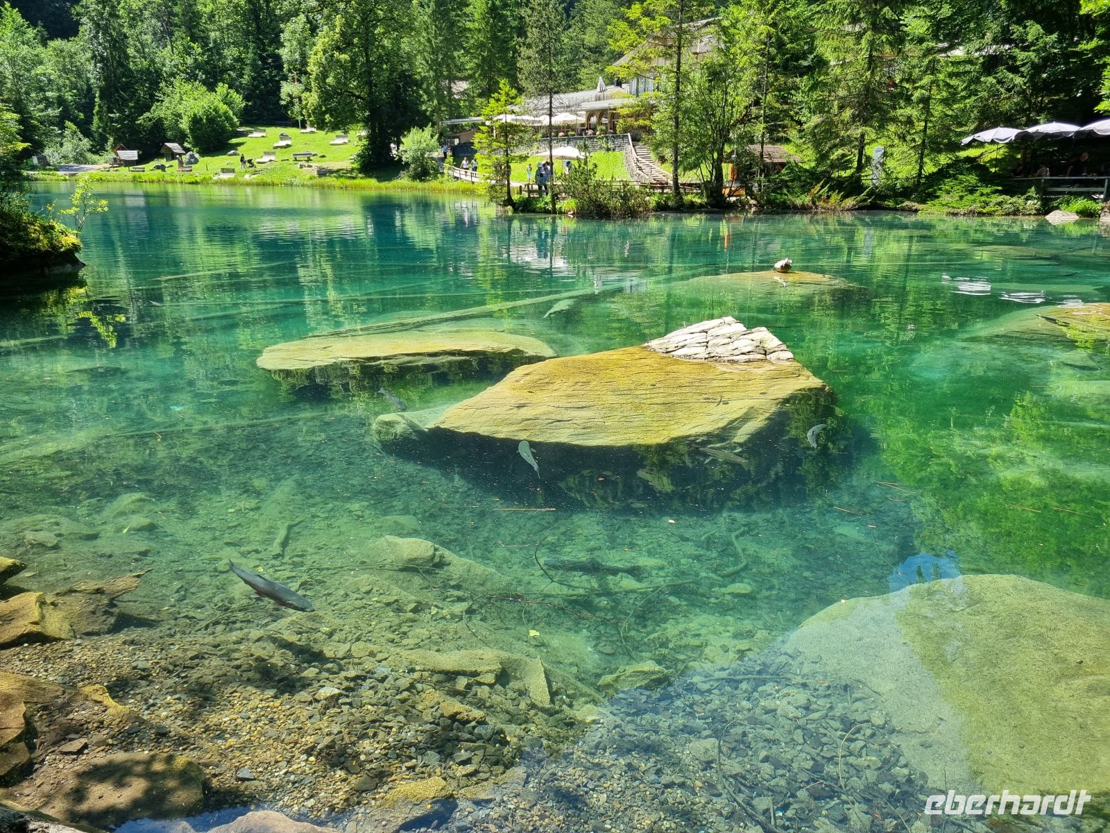 Naturpark Blausee  &ndash; &copy; Katrin Deutschbein (Eberhardt TRAVEL)