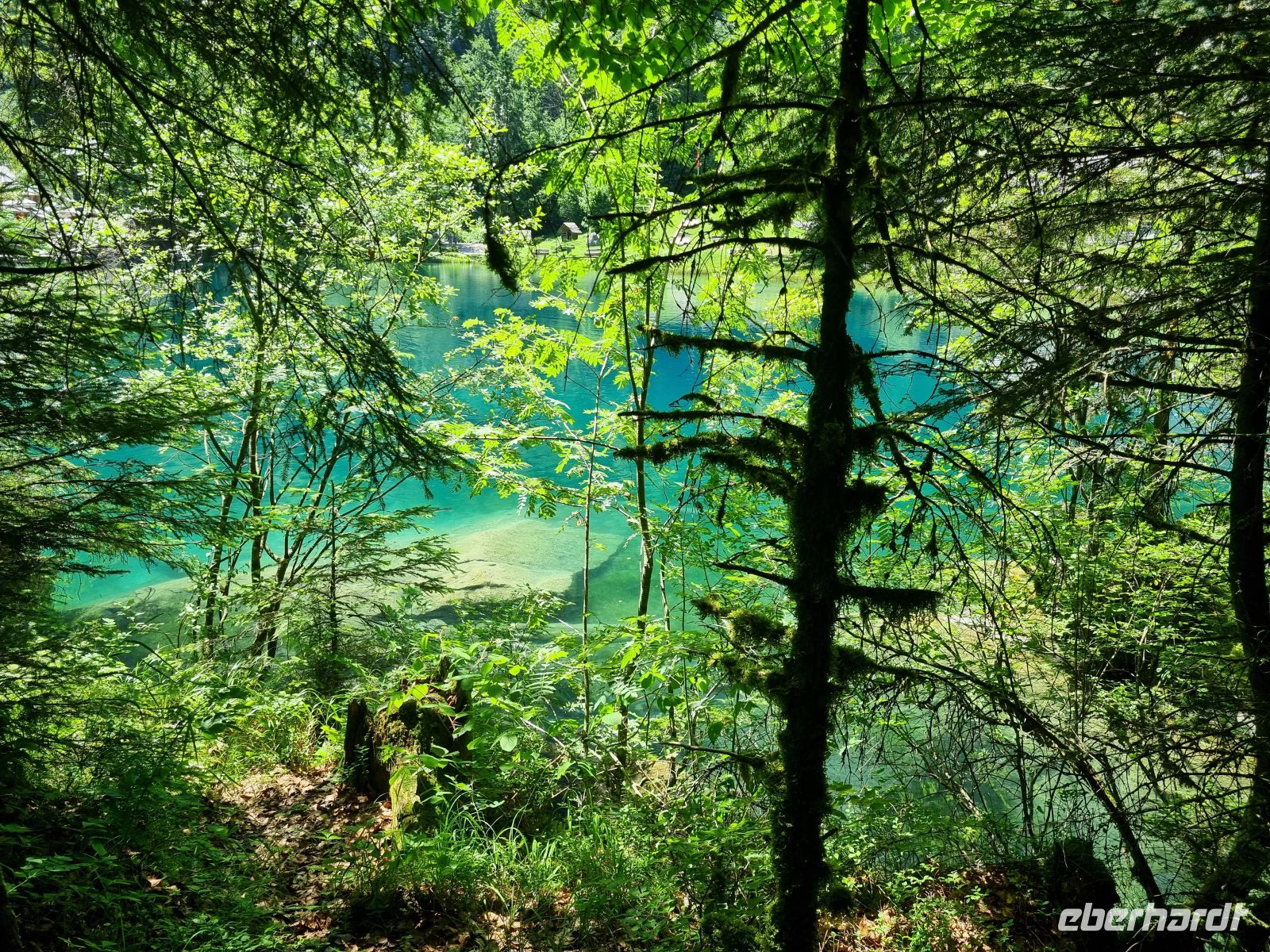 Naturpark Blausee  &ndash; &copy; Katrin Deutschbein (Eberhardt TRAVEL)