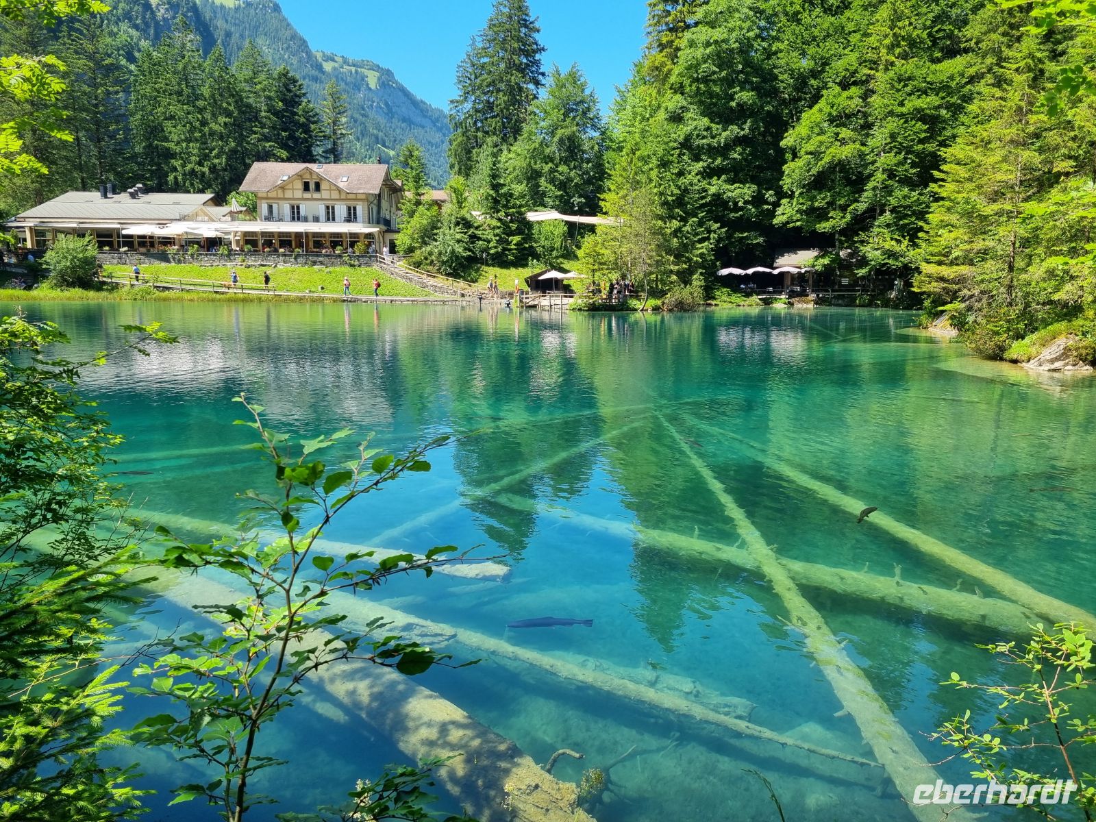 Naturpark Blausee  &ndash; &copy; Katrin Deutschbein (Eberhardt TRAVEL)