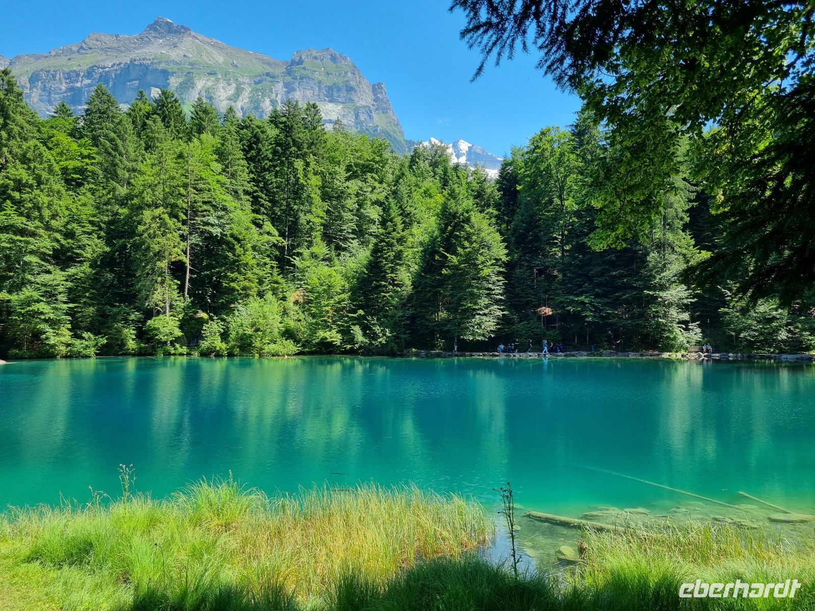 Naturpark Blausee  &ndash; &copy; Katrin Deutschbein (Eberhardt TRAVEL)
