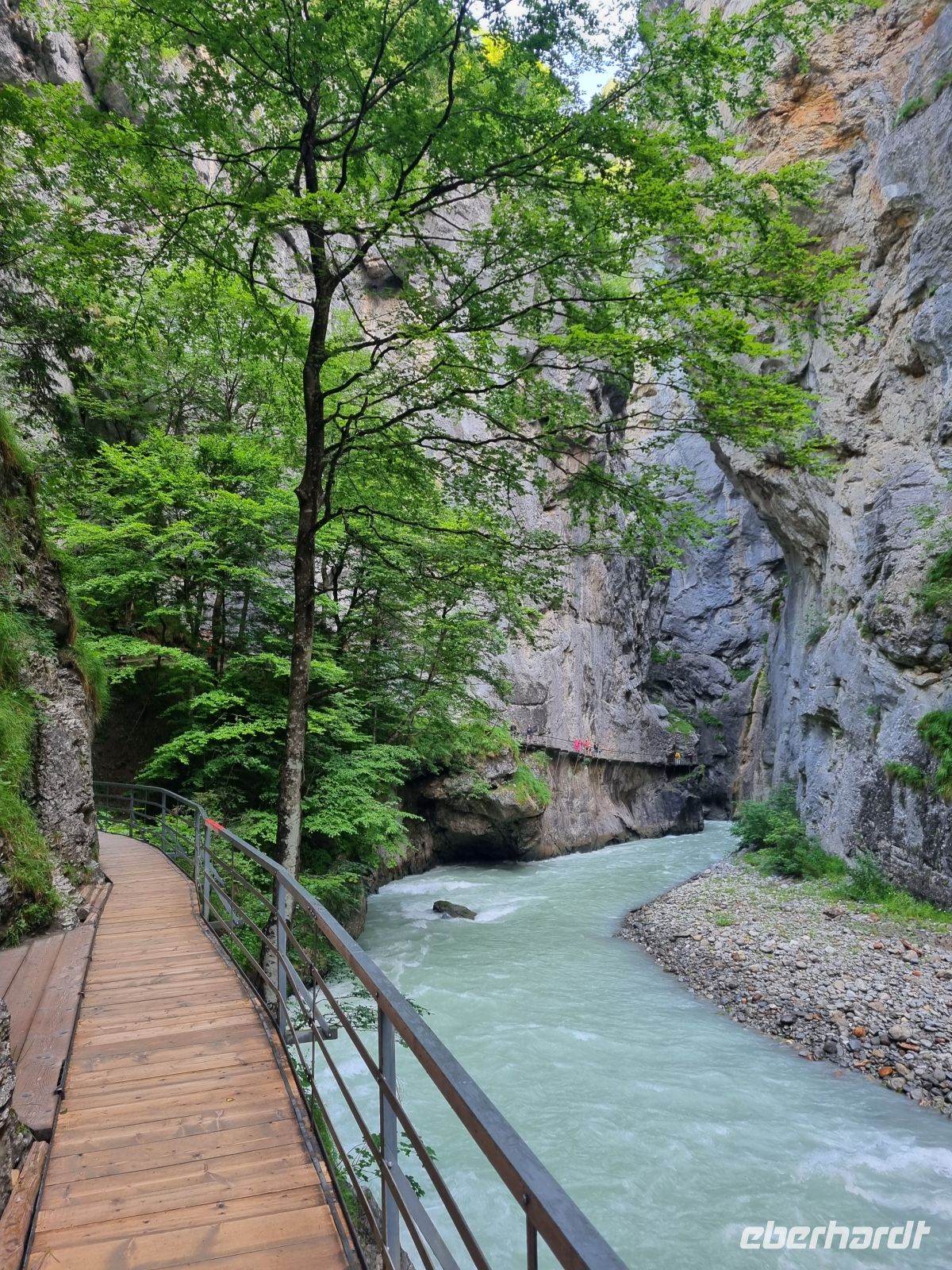 Aareschlucht &ndash; &copy; Katrin Deutschbein (Eberhardt TRAVEL)