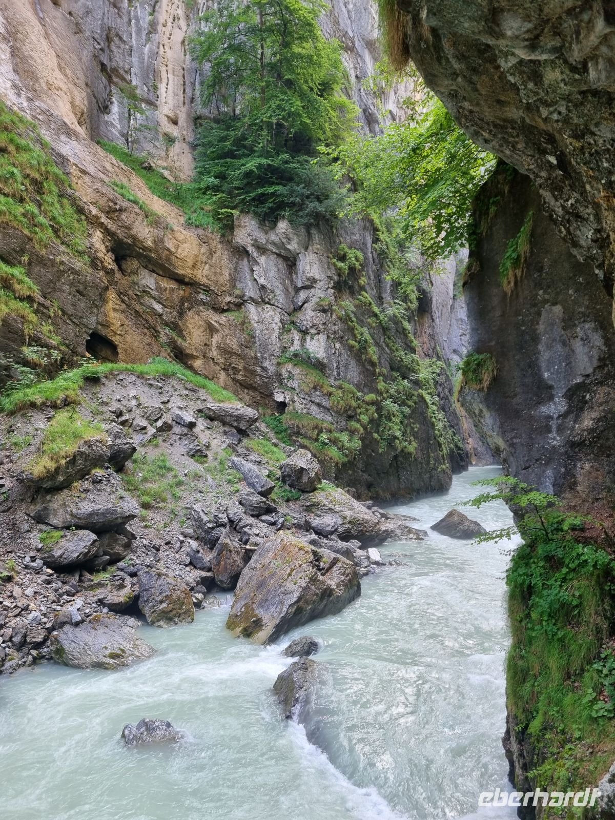 Aareschlucht &ndash; &copy; Katrin Deutschbein (Eberhardt TRAVEL)