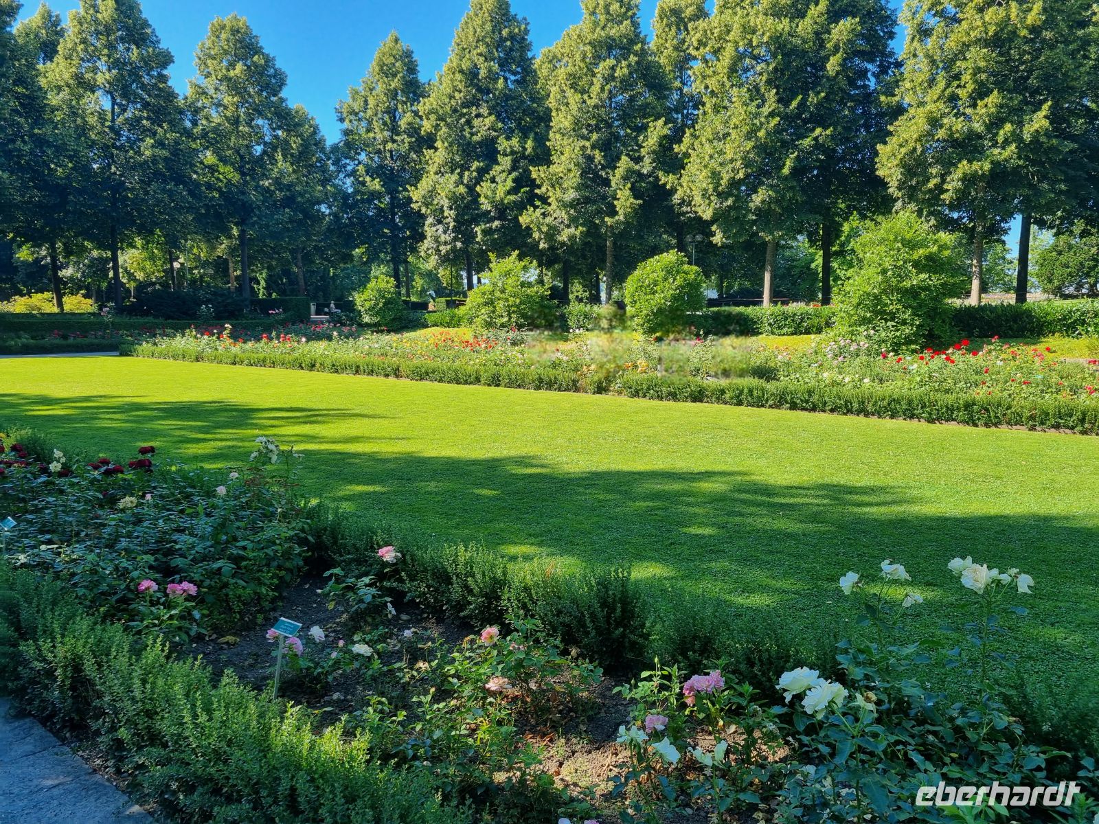 Bern - Rosengarten  &ndash; &copy; Katrin Deutschbein (Eberhardt TRAVEL)