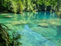 Naturpark Blausee &ndash; &copy; Katrin Deutschbein (Eberhardt TRAVEL)