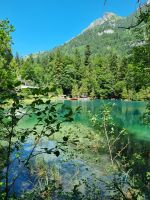 Naturpark Blausee  &ndash; &copy; Katrin Deutschbein (Eberhardt TRAVEL)