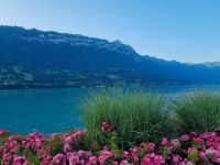 Brienzersee &ndash; &copy; Katrin Deutschbein (Eberhardt TRAVEL)