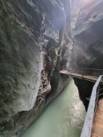 Aareschlucht &ndash; &copy; Katrin Deutschbein (Eberhardt TRAVEL)