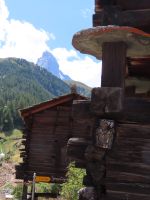 298 Zermatt - Wanderung von Furi nach Zermatt &ndash; &copy; Annette Probst-Weise (Eberhardt TRAVEL)
