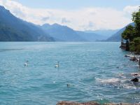 369 Fahrt nach Interlaken - Stopp in Brienz am Brienzersee &ndash; &copy; Annette Probst-Weise (Eberhardt TRAVEL)