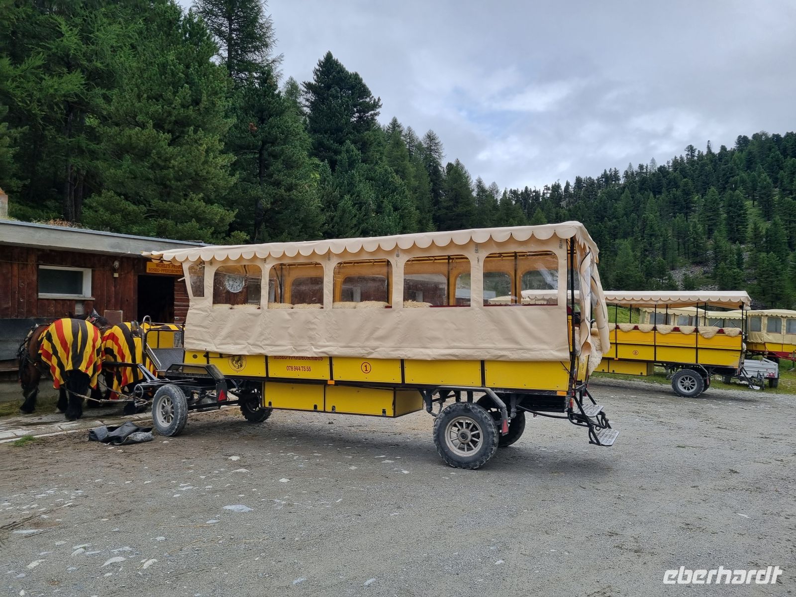 Fahrt mit dem Pferde-Omnibus ins Val Roseg &ndash; &copy; Katrin Deutschbein (Eberhardt TRAVEL)