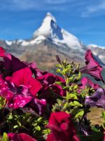 240 Zermatt - Ausflug auf Sunnegga und Blauherd am Rothorn - Matterhorn &ndash; &copy; Annette Probst-Weise (Eberhardt TRAVEL)