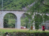 031 Ausflug mit dem Bernina Express - Kreisviadukt in Brusio &ndash; &copy; Annette Probst-Weise (Eberhardt TRAVEL)