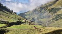 Brienz-Rothorn-Bahn &ndash; &copy; Sinah Witzig (Eberhardt TRAVEL)
