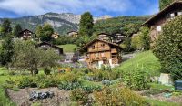 Fahrt mit der Brienz-Rothorn-Bahn &ndash; &copy; Sinah Witzig (Eberhardt TRAVEL)