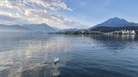 Vierwaldstättersee &ndash; &copy; Sinah Witzig (Eberhardt TRAVEL)