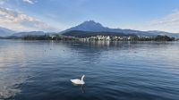 Vierwaldstättersee &ndash; &copy; Sinah Witzig (Eberhardt TRAVEL)