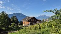 Weggis am Vierwaldstättersee &ndash; &copy; Sinah Witzig (Eberhardt TRAVEL)