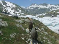 Auf dem Grimselpass &ndash; &copy; Martina Pötschke (Eberhardt TRAVEL)